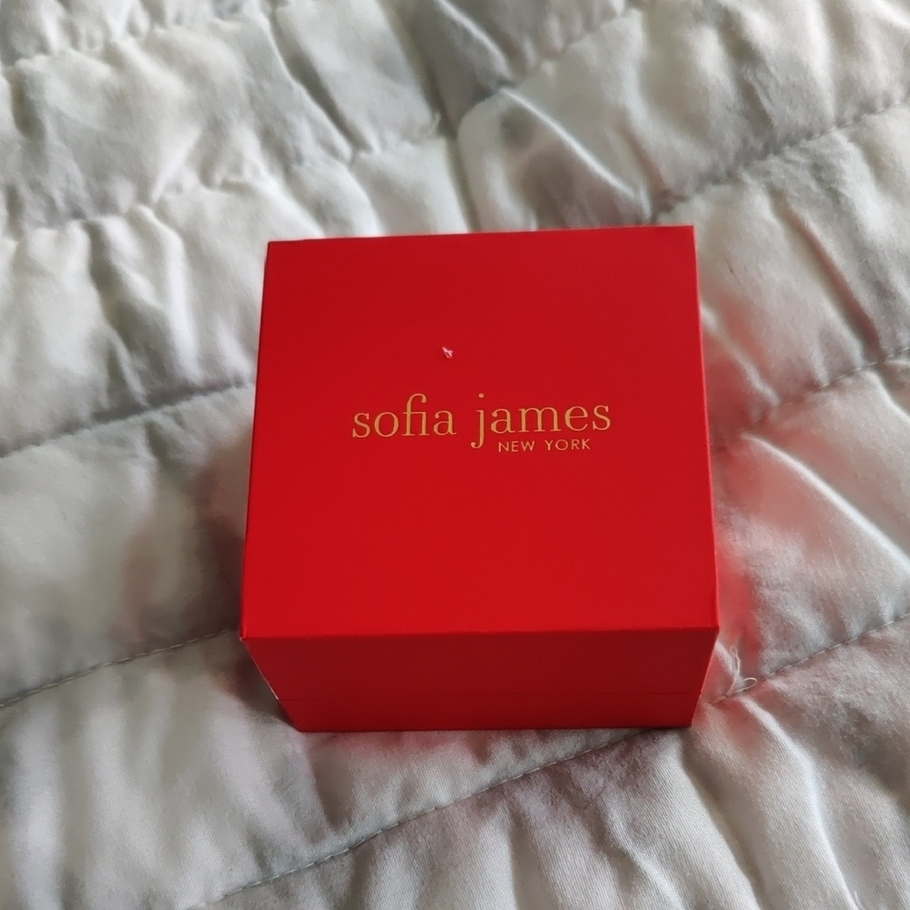 New!Sofia James fine silver-plated hoop earrings Premium Austrian Crystals